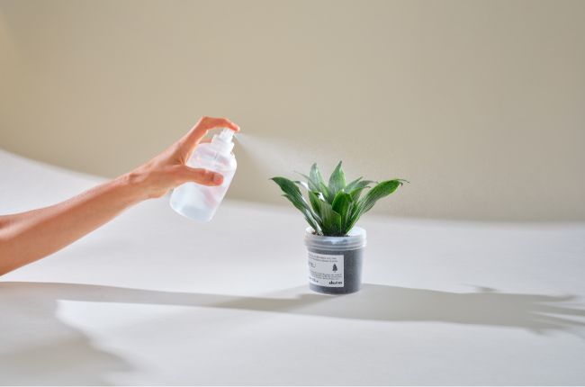 Je haar, je planeet: een gids voor een duurzamere haarverzorgingsroutine