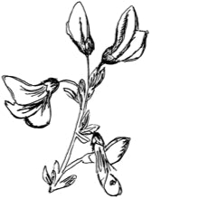 //nl.davines.com/cdn/shop/t/6/assets/davines-line-finest-pigment-deco-1.jpg?v=31471944834081645081641906979