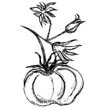 //nl.davines.com/cdn/shop/t/6/assets/davines-line-finest-pigment-deco-2.jpg?v=79889010406983862501641906948