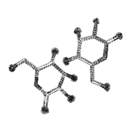 //nl.davines.com/cdn/shop/t/6/assets/davines-line-naturaltech-deco-3.png?v=48525519344944069281641906920