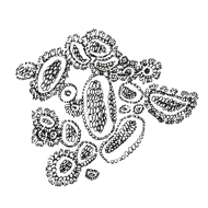 //nl.davines.com/cdn/shop/t/6/assets/davines-line-naturaltech-deco-4.png?v=171189248533084119171641906922