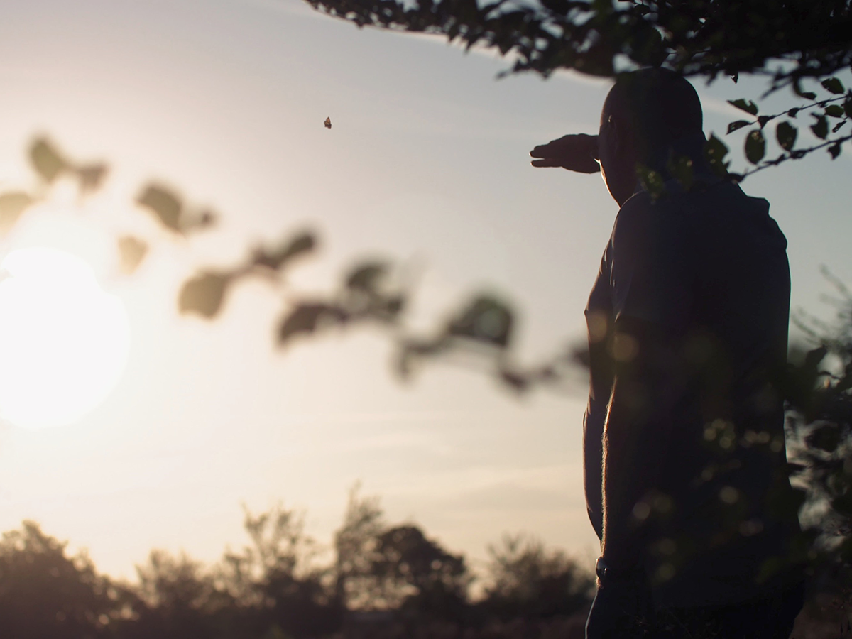 Tomorrow and The Butterfly