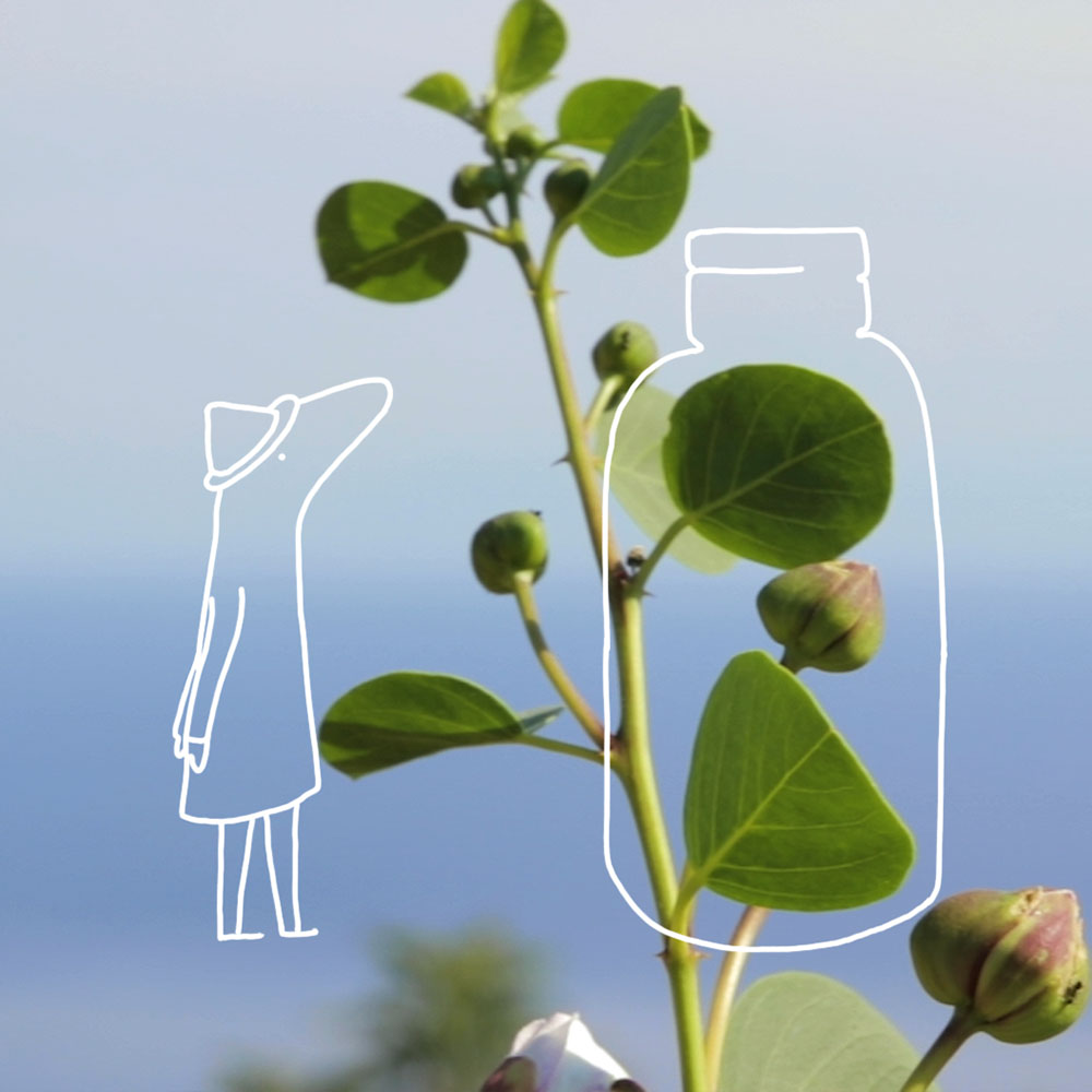 Essential en slow food