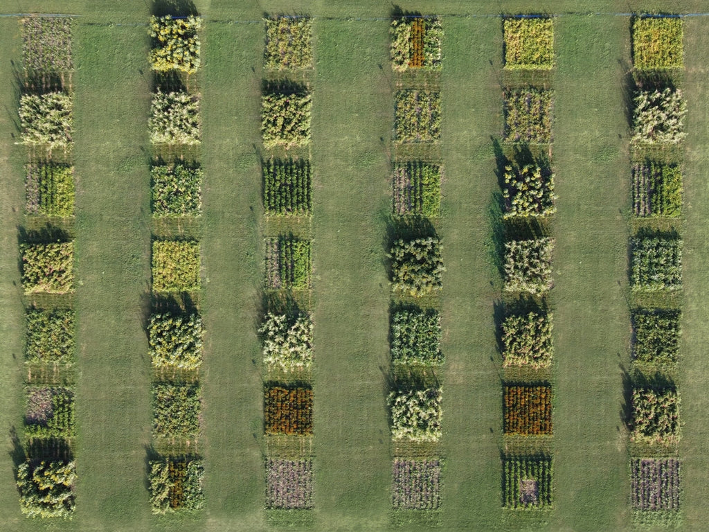 Wat is regeneratieve landbouw?