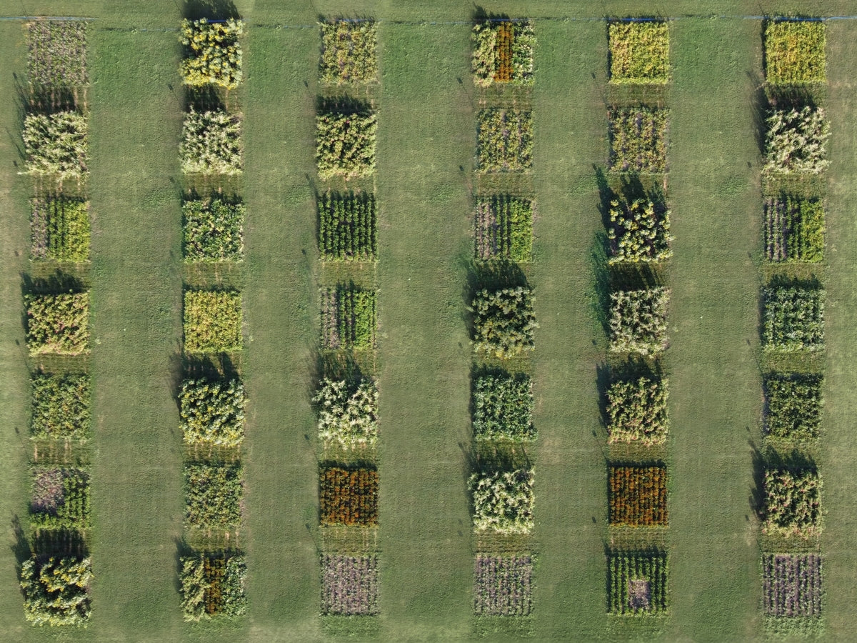 Wat is regeneratieve landbouw?