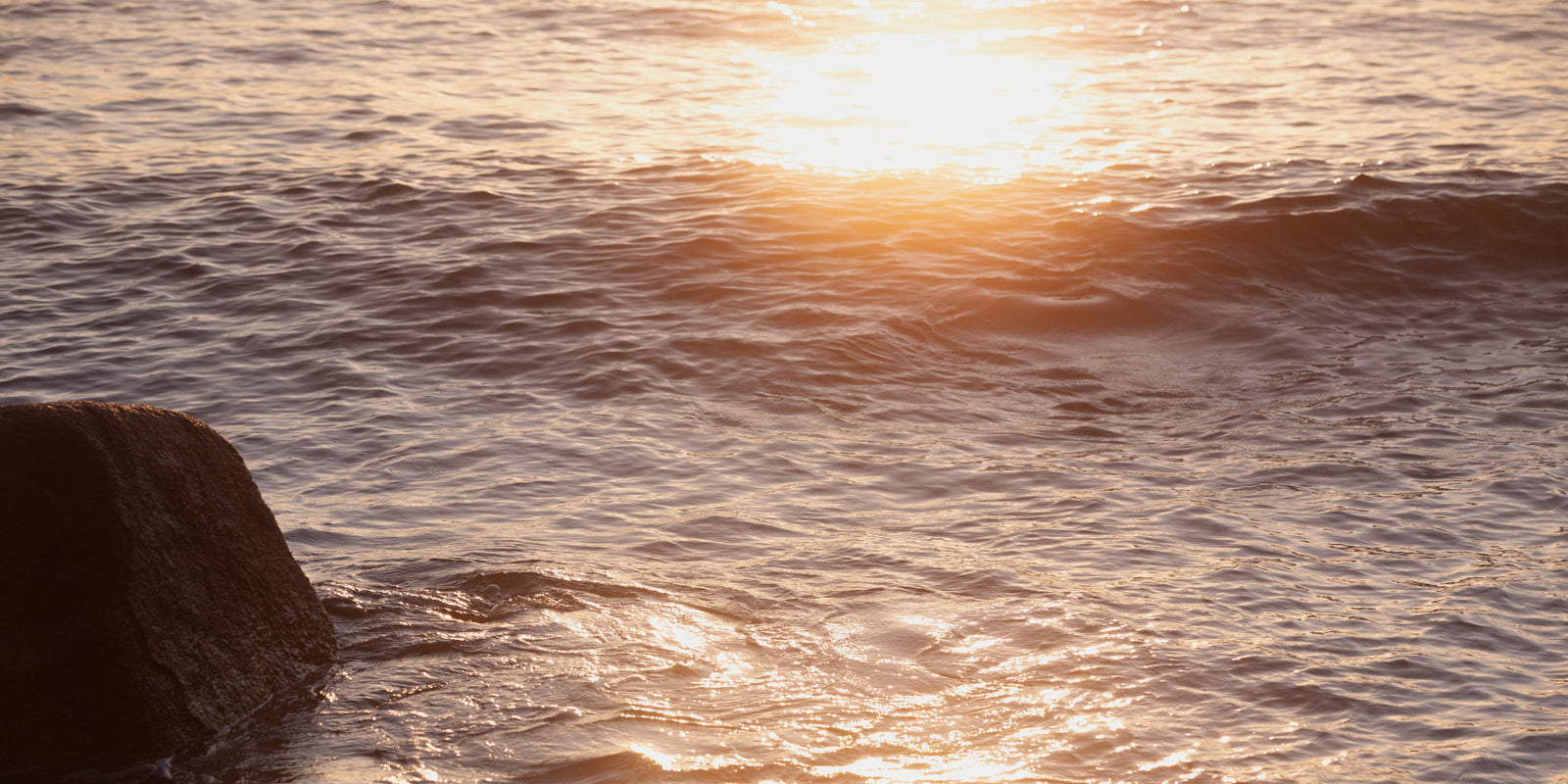 Hoe Davines onze ‘'water footprint’' vermindert